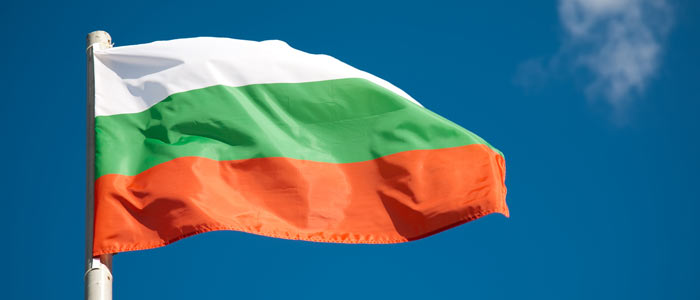 Перевод с/на болгарский язык