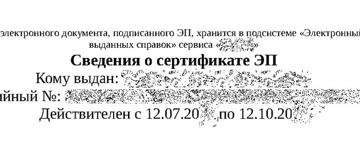 фрагмент справки МВД с ЭЦП